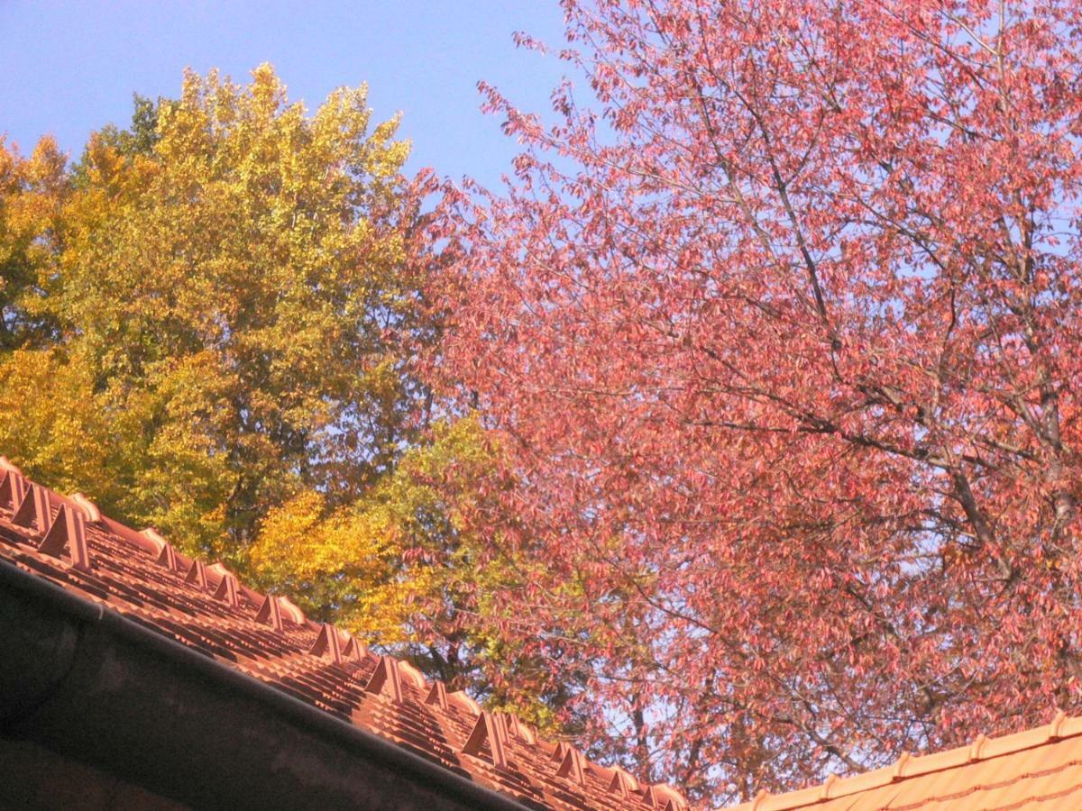 Ferienwohnung Nostalgie เอห์เรนเฮาเซน ภายนอก รูปภาพ